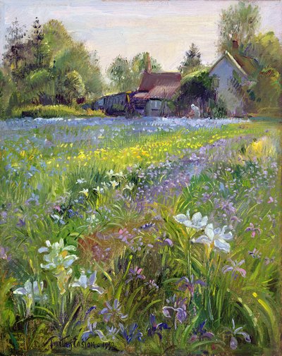 Dwergirissen en huisje, 1993 door Timothy Easton